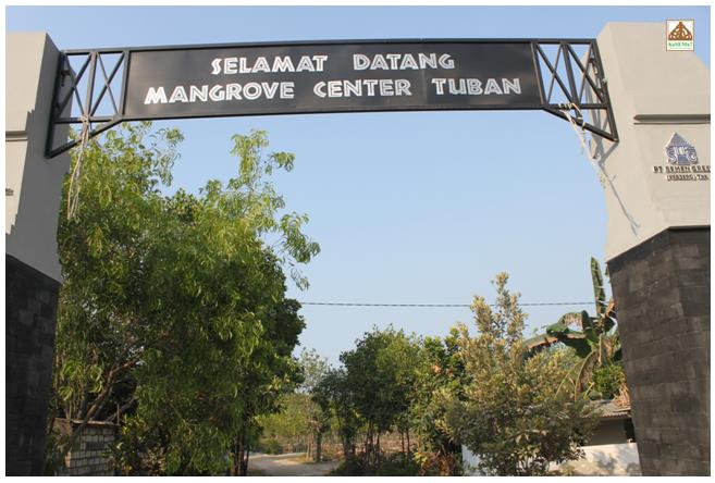 mangrove center tuban, Sewa mobil Avanza Tuban
