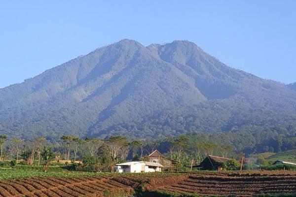 gunung wilis, sewa mobil Fortuner Kediri