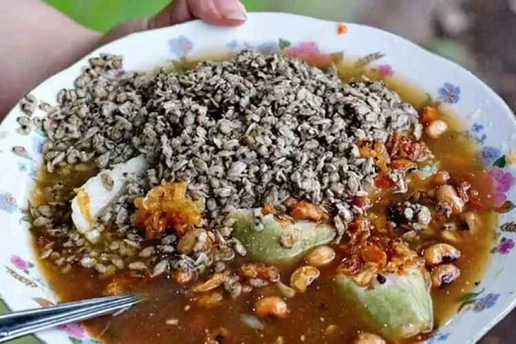 lontong kupang, sewa mobil alphard sidoarjo