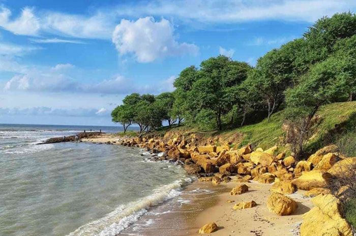 pantai sowan, sewa mobil alphard tuban
