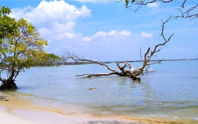 pantai joko mursodo, sewa mobil Innova Lamongan